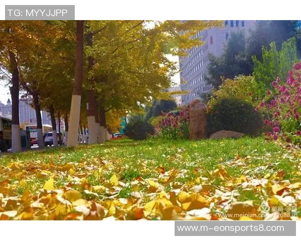 八一足球的辉煌历程与未来展望：传承精神与推动发展的双重使命